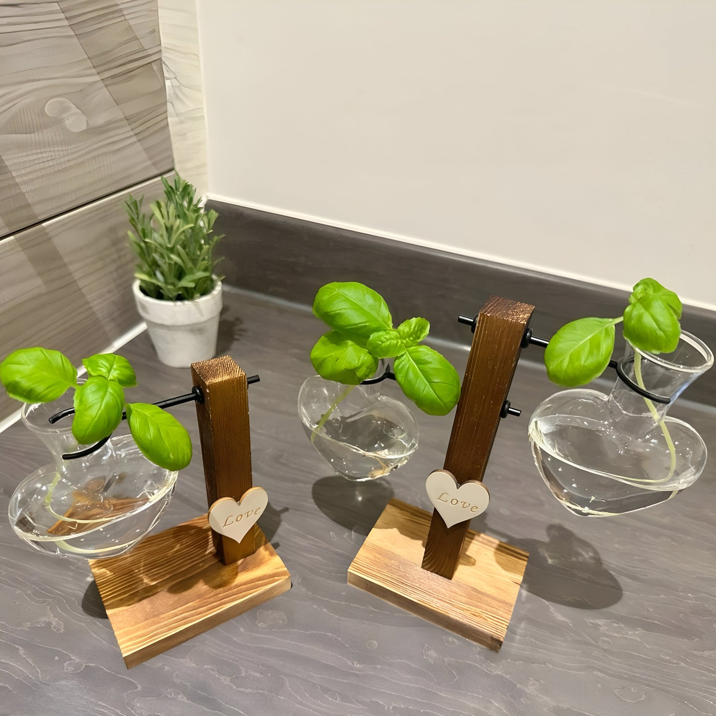 Hydroponic Plant Vase - Heart Shaped Valentines Vases Plant Cuttings Vase Wooden Stand Propagation Station Glass Desk Hydroponic System