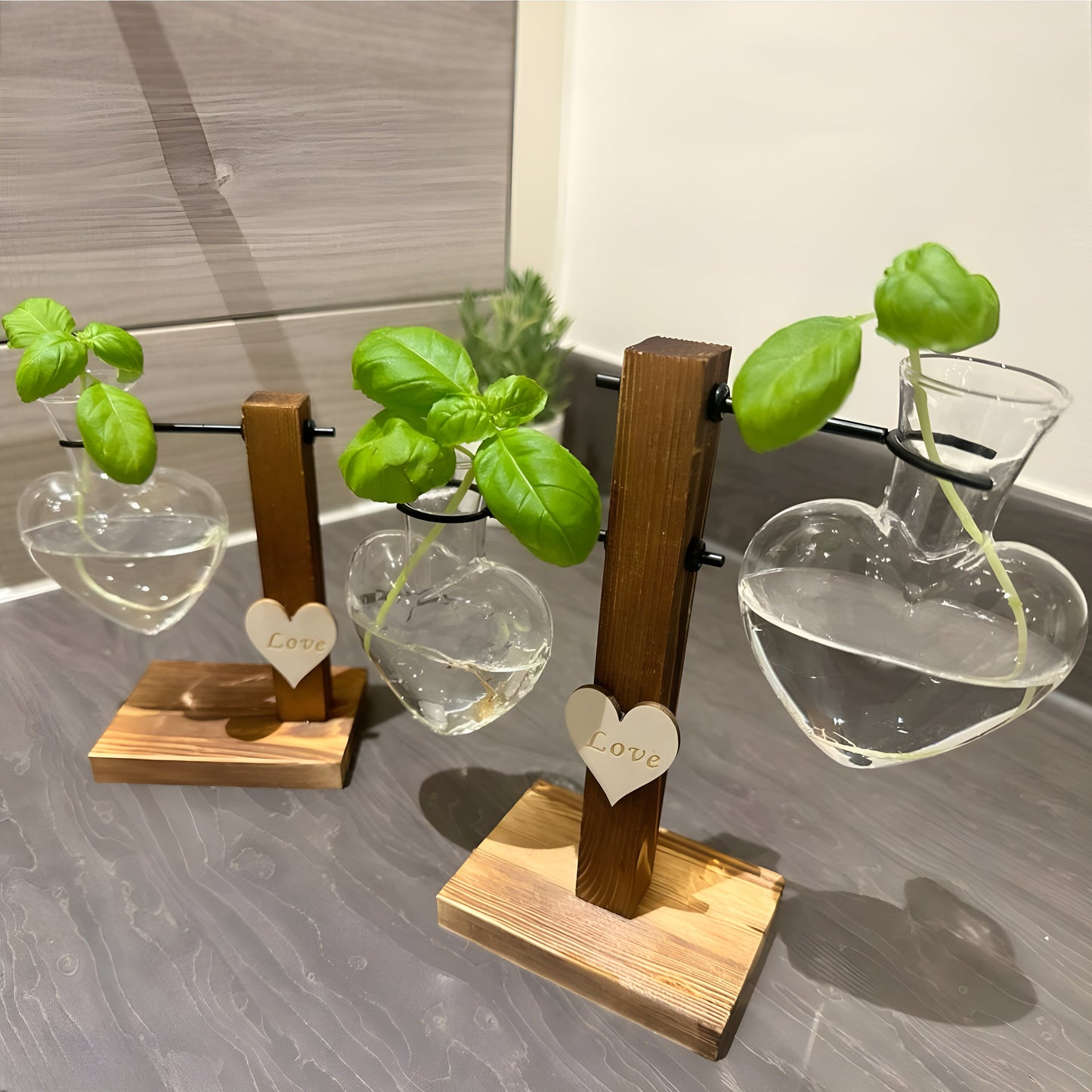 Hydroponic Plant Vase - Heart Shaped Valentines Vases Plant Cuttings Vase Wooden Stand Propagation Station Glass Desk Hydroponic System