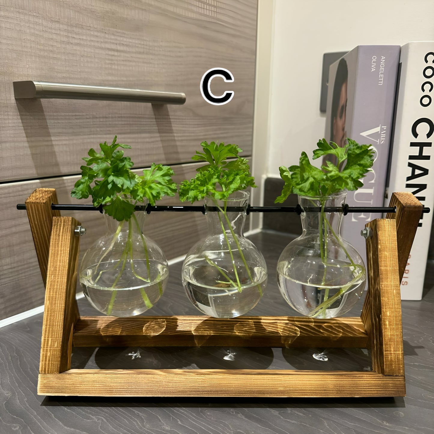 Hydroponic Plant Pot - Plant Propagation Station Hydroponic Gardening Indoor Plant Cuttings Desktop Terrarium Vase