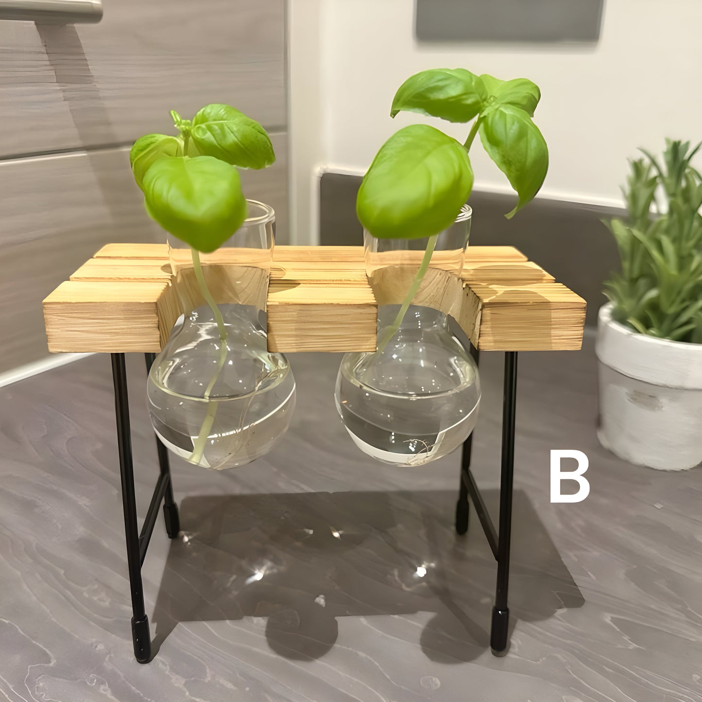 Hydroponic Gardening - Plant Propagation Station Glass Desk Plant Indoor Hydroponic Plant Pot Wooden Frame Plant Cuttings Glass Vase