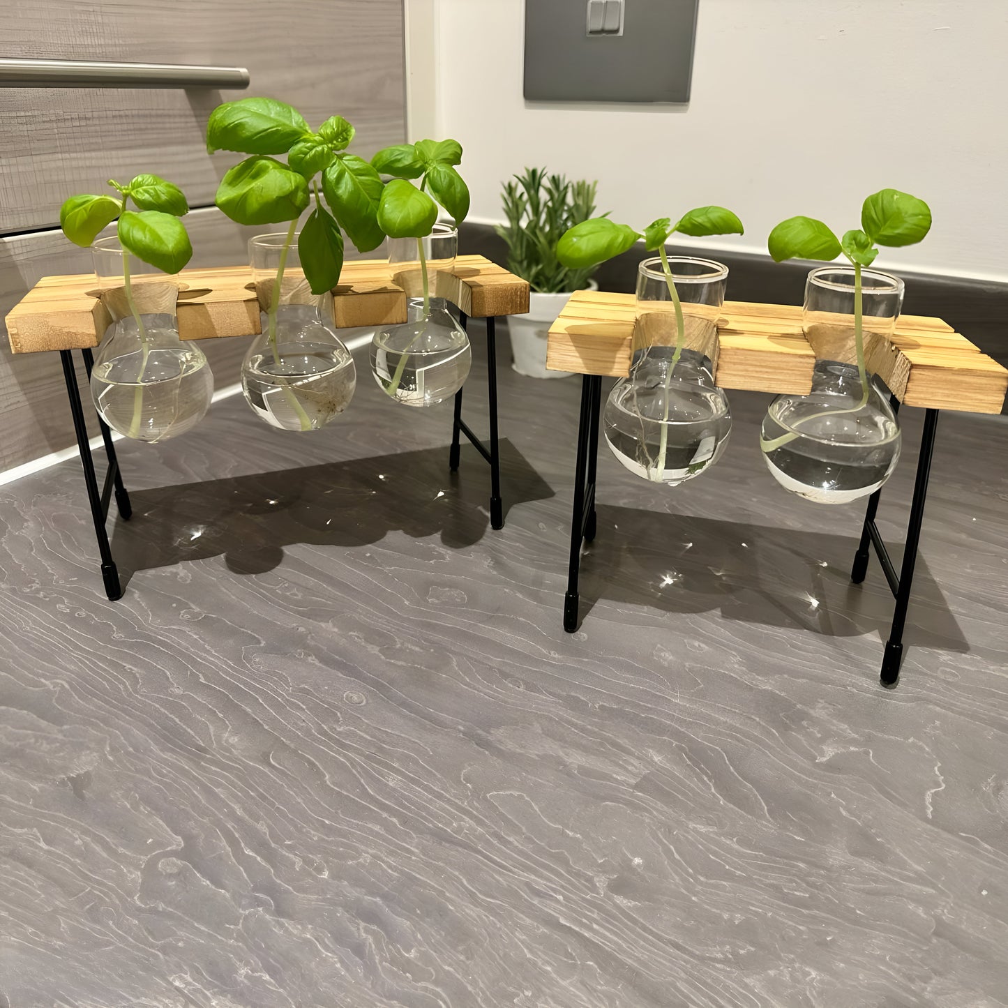 Hydroponic Gardening - Plant Propagation Station Glass Desk Plant Indoor Hydroponic Plant Pot Wooden Frame Plant Cuttings Glass Vase