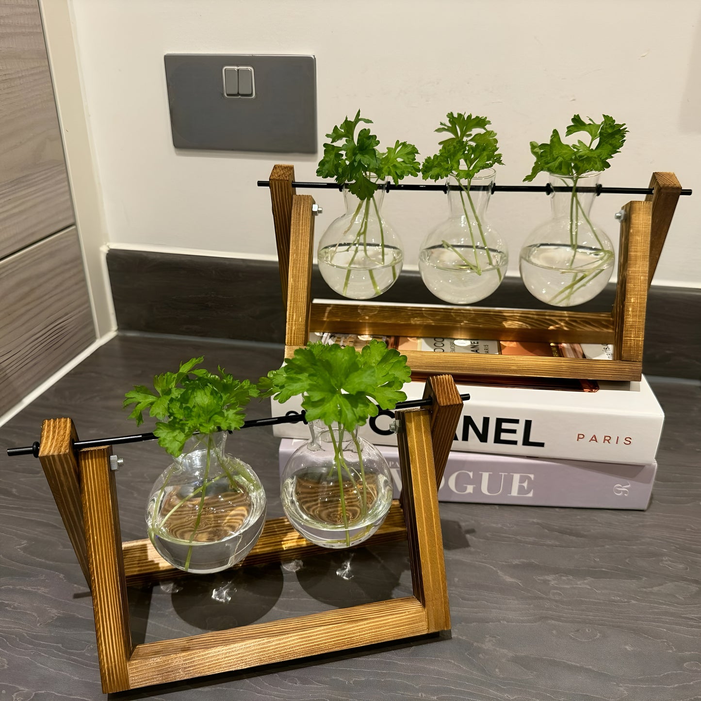 Hydroponic Plant Pot - Plant Propagation Station Hydroponic Gardening Indoor Plant Cuttings Desktop Terrarium Vase