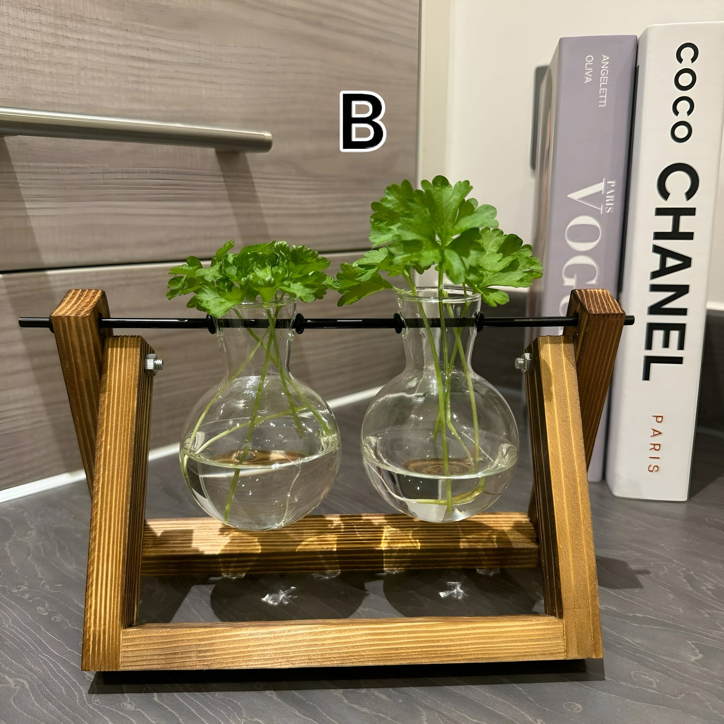 Hydroponic Plant Pot - Plant Propagation Station Hydroponic Gardening Indoor Plant Cuttings Desktop Terrarium Vase