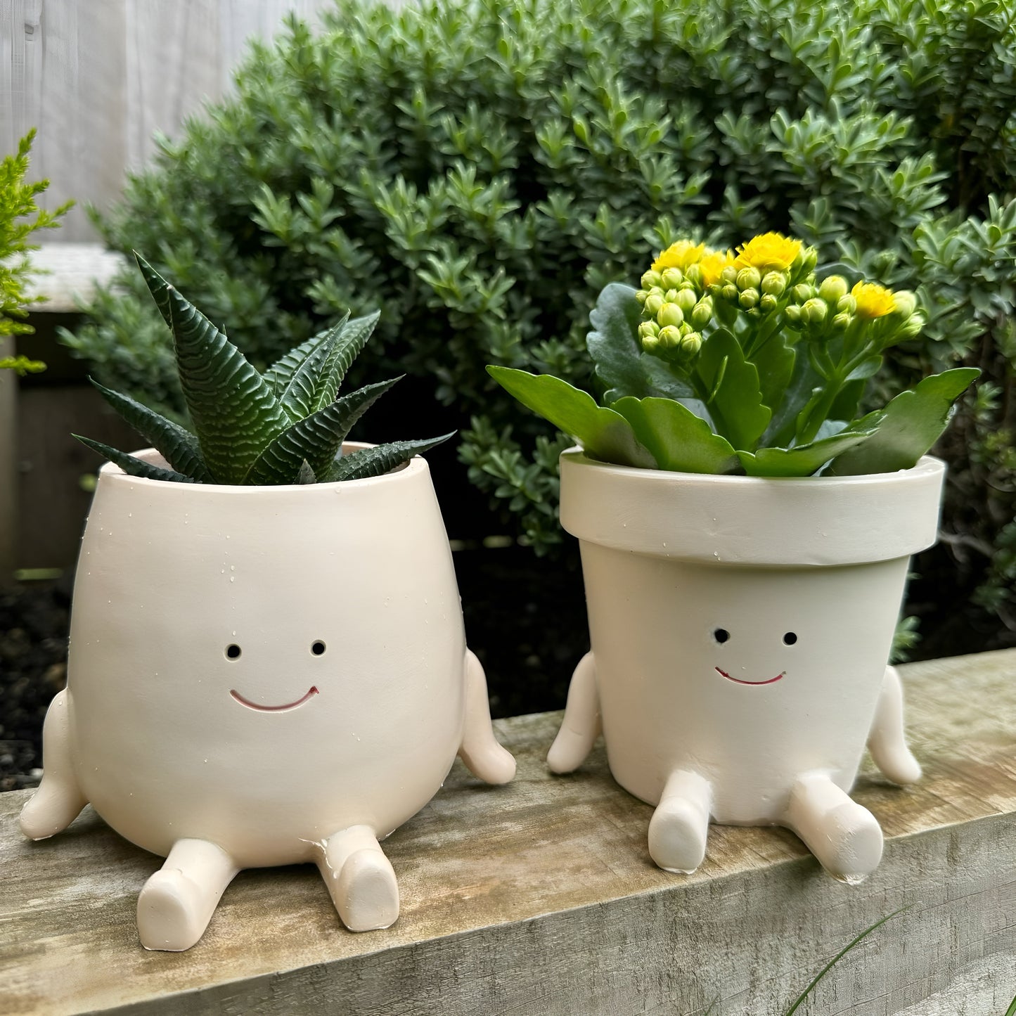 Smiley Face PlantPot - Handmade Cute Resin Sitting Smileyface Character Flower Pot Decorer Novelty Sitting Planter Decorative Plant Vase